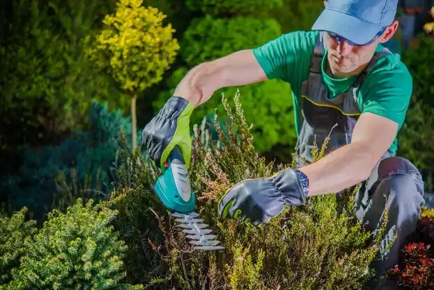 landscaping services Chadwicks